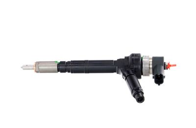 INJECTOR REMANTE 002003001094R 13