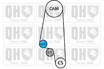 SET CUREA DE DISTRIBUTIE QUINTON HAZELL QBK291 1
