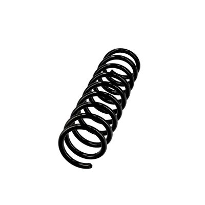 ARC SPIRAL EIBACH R10115 2