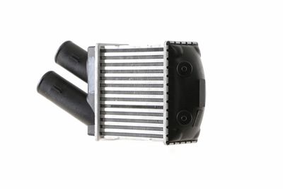 LADELUFTKüHLER MAHLE CI344001S 15