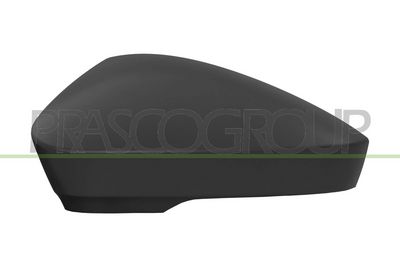 PRASCO Dangtelis, išorinis veidrodėlis
