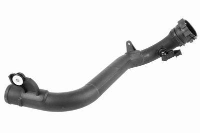 FURTUN EAR SUPRAALIMENTARE