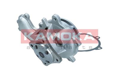 Water Pump, engine cooling T0128