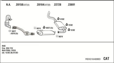 Układ wydechowy WALKER REK016489BD