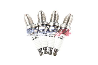 BUJII BOGAP A1514117 6