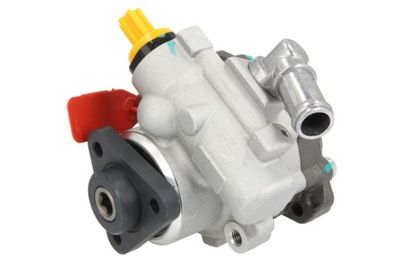 Pump, styrservo LAUBER 55.9975