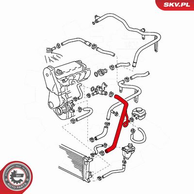 FURTUN RADIATOR ESEN SKV 24SKV381 3
