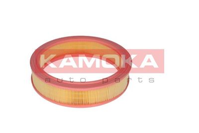 Air Filter F209301