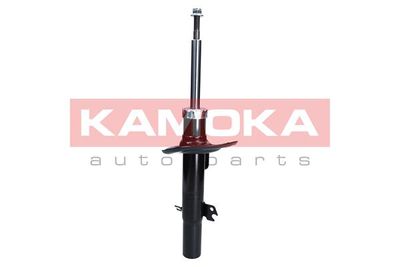 Shock Absorber 2000507