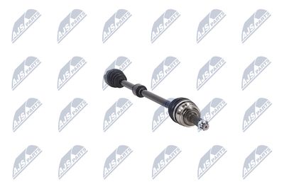 PLANETARA NTY NPWCH062 31