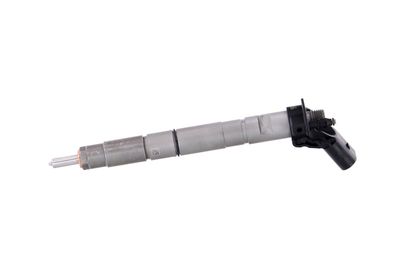 INJECTOR REMANTE 002003000171R 11