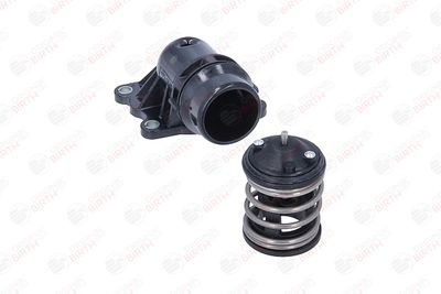 FLANSA LICHID RACIRE BIRTH 81102 3