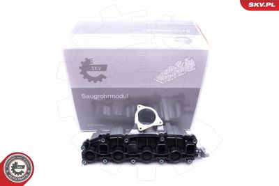 Intake Manifold Module 49SKV006