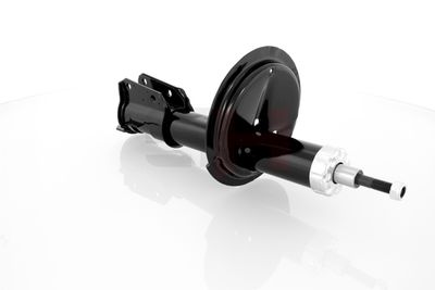 AMORTIZOR GH GH322352 23