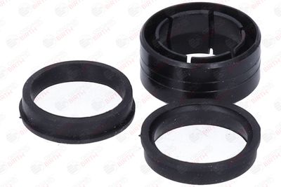 BUCSA ARBORE DE DIRECTIE BIRTH 4144 2