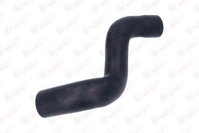 FURTUN EAR SUPRAALIMENTARE BIRTH 55817 11