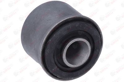 SUPORT TRAPEZ BIRTH 2439 11