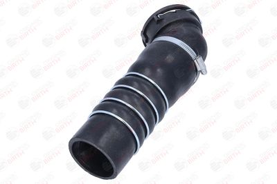 FURTUN EAR SUPRAALIMENTARE BIRTH 55818 5