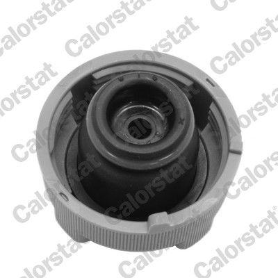 BUSON VAS EXPANSIUNE CALORSTAT by Vernet RC0197 1