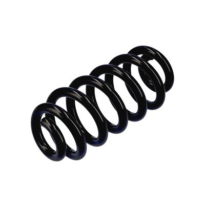 ARC SPIRAL EIBACH R22994 4