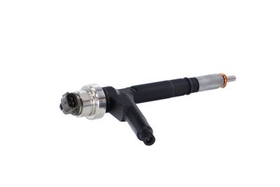 INJECTOR REMANTE 002003000084R 38