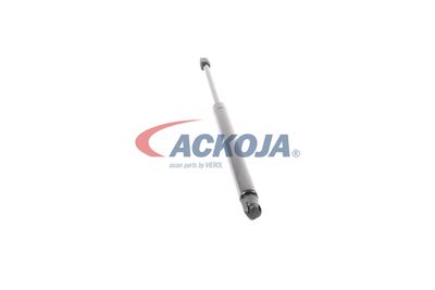 AMORTIZOR PORTBAGAJ ACKOJA A320076 48