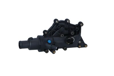 TERMOSTAT LICHID RACIRE NRF 725038 45