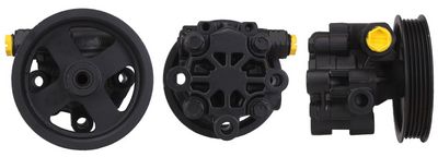 POMPA HIDRAULICA SISTEM DE DIRECTIE ELSTOCK 150165