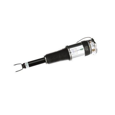 LUFTFEDERBEIN Arnott AS3030 63