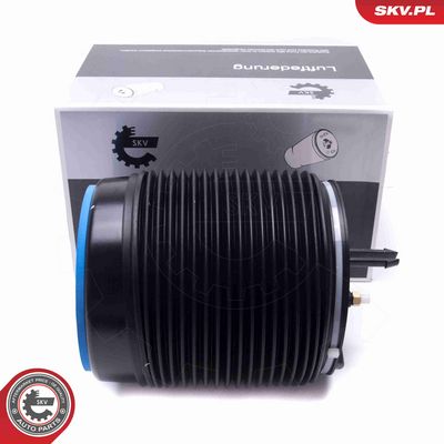 ARC PNEUMATIC DIRECTIE ESEN SKV 58SKV072