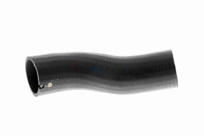 FURTUN EAR SUPRAALIMENTARE VAICO V240715 1