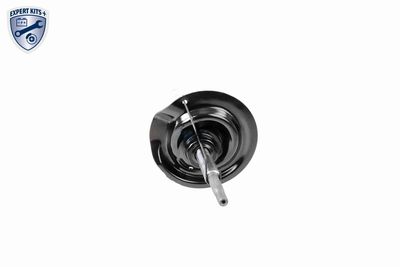 STOßDäMPFER VAICO V207308 3