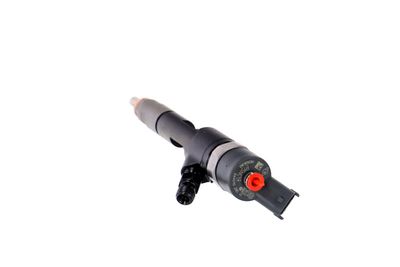 INJECTOR REMANTE 002003001168R 22