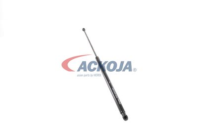 AMORTIZOR PORTBAGAJ ACKOJA A380338 47