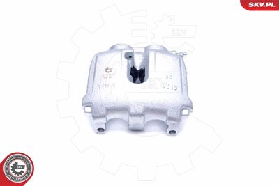 Brake Caliper 45SKV272