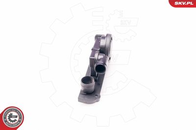 Valve, crankcase ventilation 31SKV002