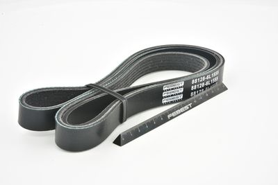 CUREA TRANSMISIE CU CANELURI FEBEST 881286L1555 45