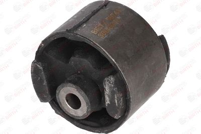 SUPORT MOTOR BIRTH 50748 5