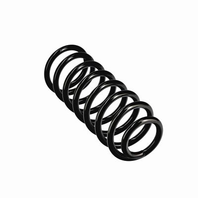 ARC SPIRAL EIBACH R11075 23