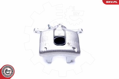 Brake Caliper 44SKV872