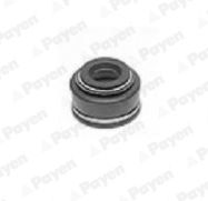 Уплотнительное кольцо, стержень клапана PAYEN PA528 для ROVER 800