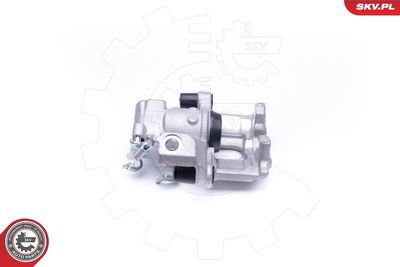 Brake Caliper 45SKV163