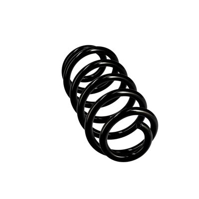 ARC SPIRAL EIBACH R10137 12