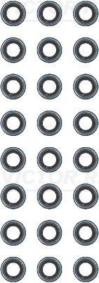 Klepsteel pakking/afdichtings set