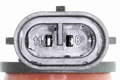 BEC PROIECTOR CEATA VEMO V99840077 1