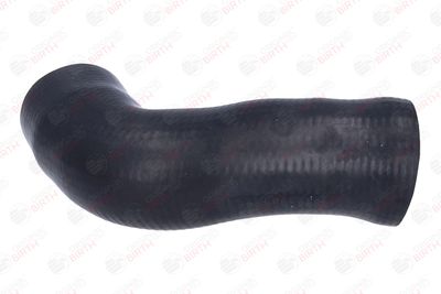 FURTUN EAR SUPRAALIMENTARE BIRTH 55948 7