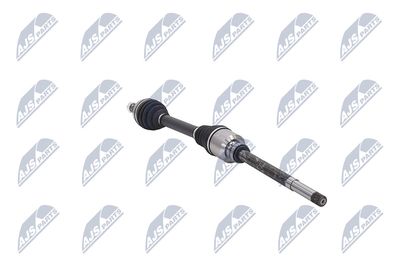 PLANETARA NTY NPWCT161 30