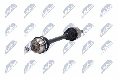 PLANETARA NTY NPWCT008 19