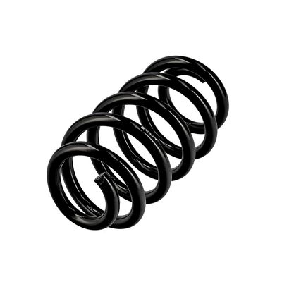 ARC SPIRAL EIBACH R10664 3