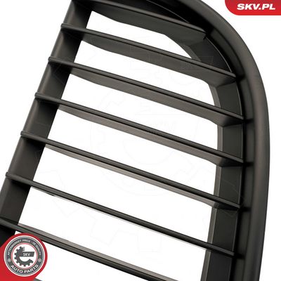 GRILA RADIATOR ESEN SKV 66SKV087 6